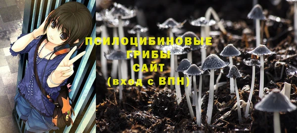 метадон Абаза