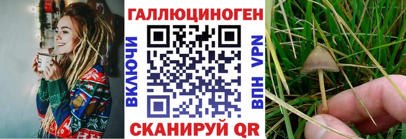 Галлюциногенные грибы прущие грибы  как найти закладки  Абдулино 